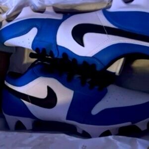 Nike dunk cleats